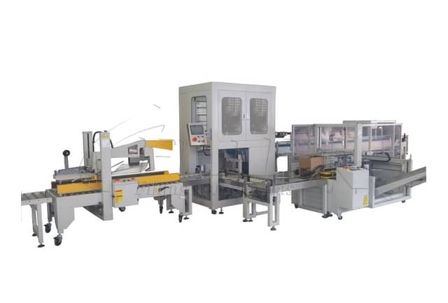 Catch Up Type Carton Packing Machine